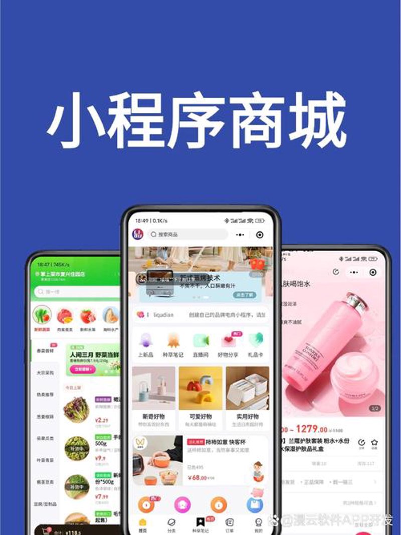 天门小程序开发：轻松构建移动应用的小助手